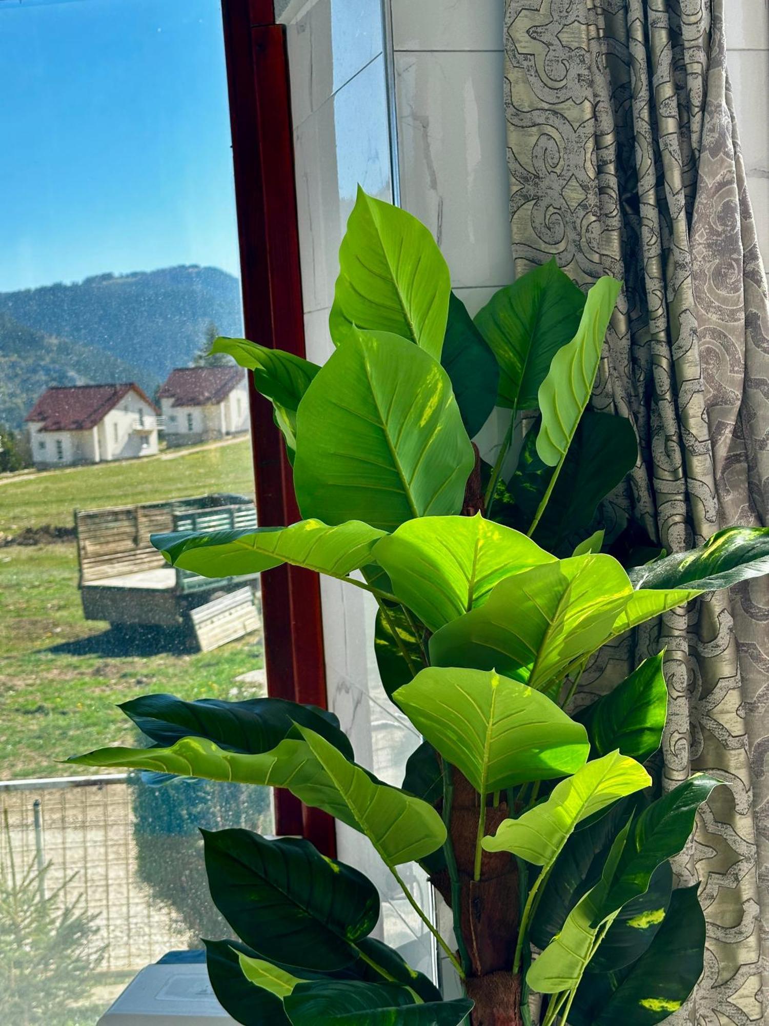 Vila Vlasic Odmor Wellness & Spa Dış mekan fotoğraf
